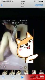 主播琪琪在线观看视频,热门视频背后的精彩瞬间  第1张